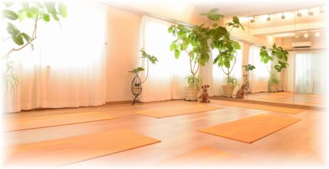 バイオウェルネス・ヨガスタジオ_1番目の写真