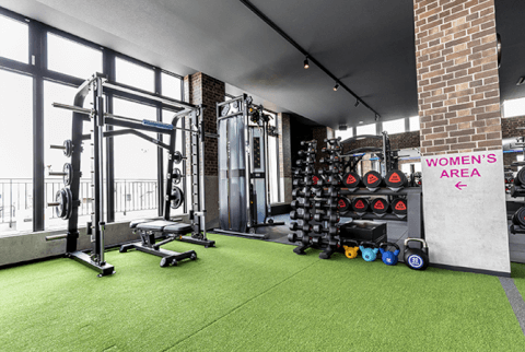 BLUE FITNESS 24_ジム_フリーウェイト