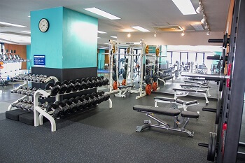 セントラル_ジムエリア_24時間_大森ジム