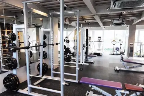 コブラクションミックス 代官山_2番目の写真