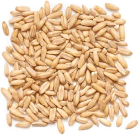 オートミール_ホールグローツ_オートグローツ