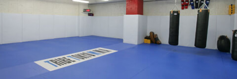 TRIBE TOKYO MMA_1番目の写真